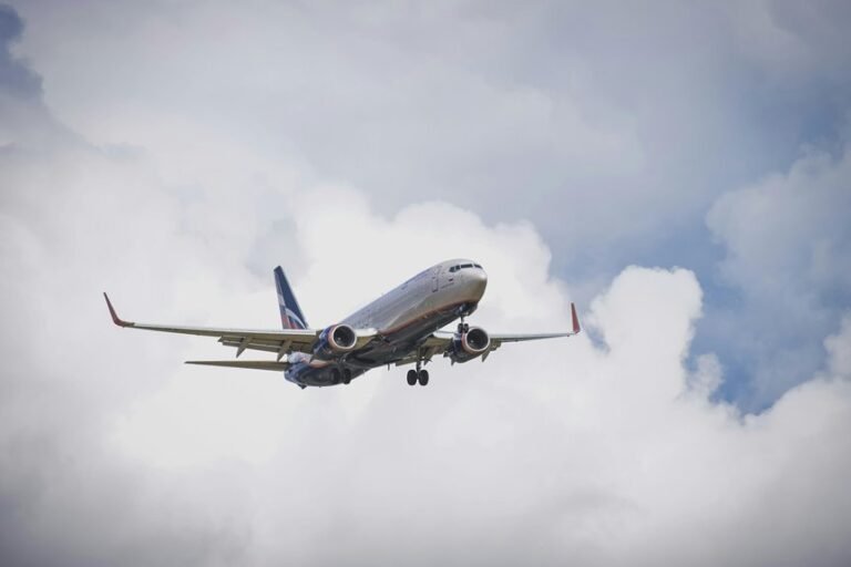 sector dynamics data overview